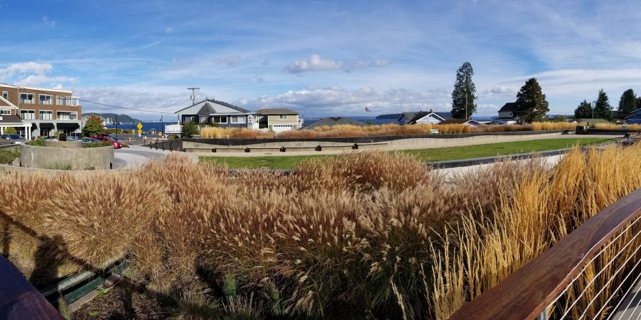 Manchester Stormwater Park in Kitsap County